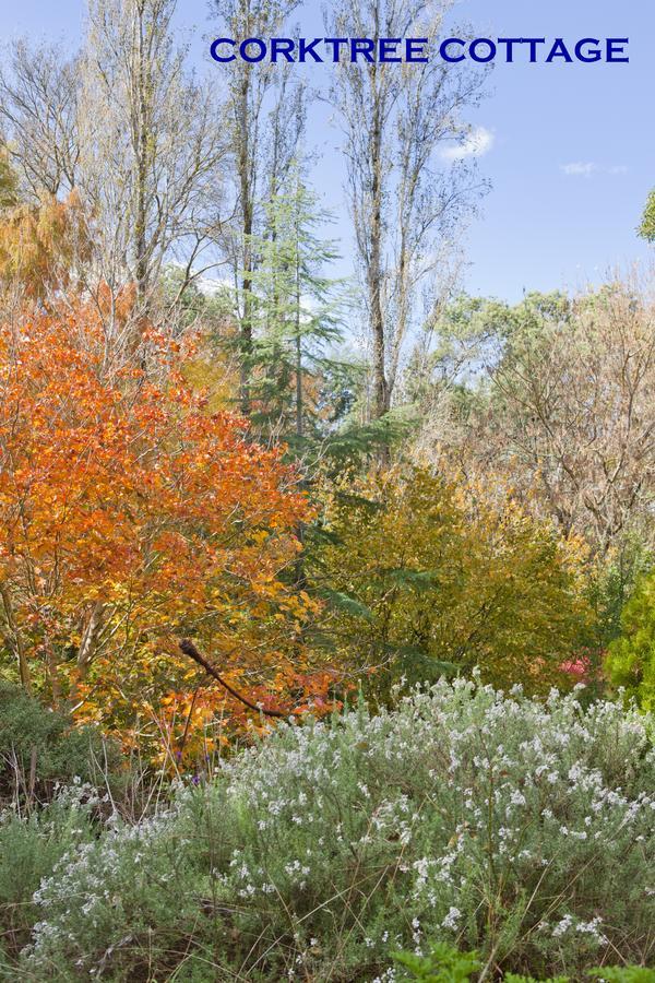 Crafers Cottages Adelaide Bagian luar foto