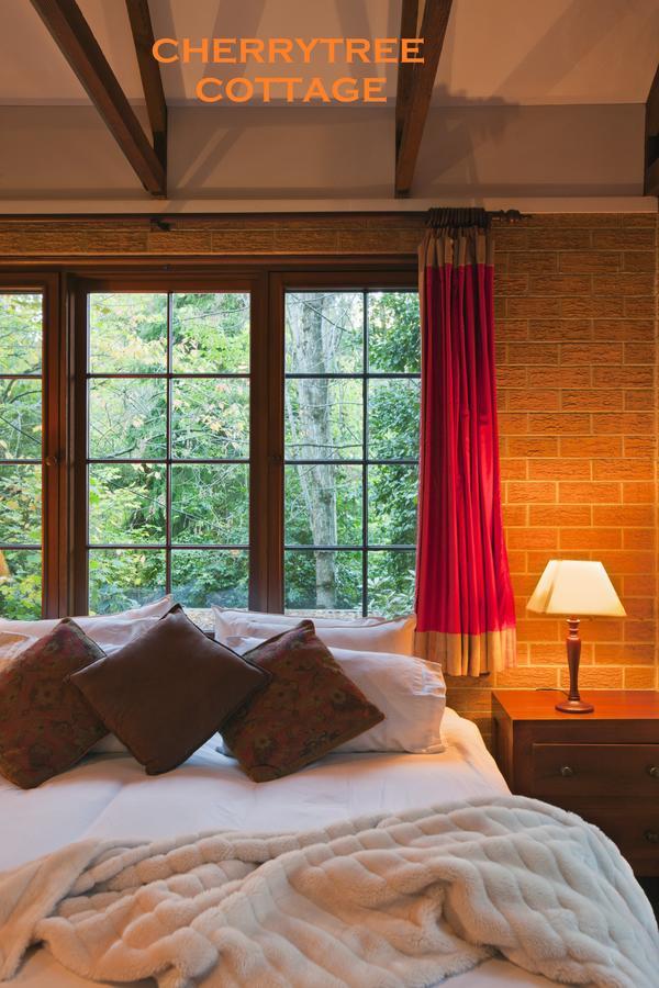 Crafers Cottages Adelaide Ruang foto