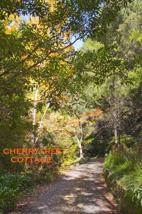 Crafers Cottages Adelaide Ruang foto