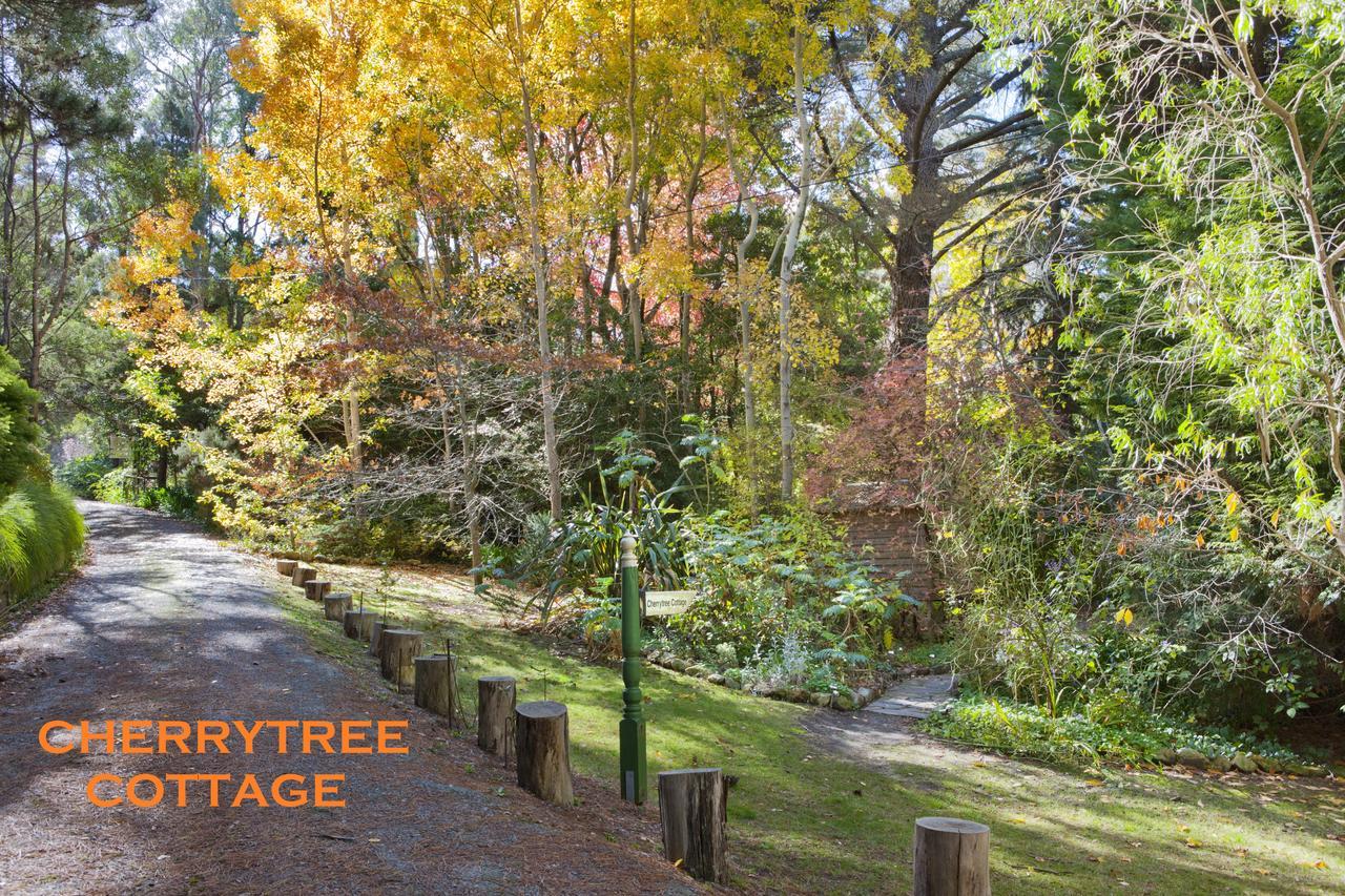 Crafers Cottages Adelaide Ruang foto